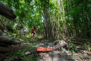 BIB: 
                            <button type="button" onclick="openModal(19393833)" class="btn btn-primary btn-sm float-right btn-popup" data-toggle="modal" data-target=".modal-high-quality">
                        <i class="fas fa-shopping-cart"></i> Add to Cart
                    </button>
                                            <button type="button" onclick="isThisMe(19393833, true)" class="btn btn-success btn-sm float-right btn-popup btn-isme hidden" data-toggle="tooltip" data-placement="bottom" title="นี่คือรูปของคุณใช่ไหม คลิกที่นี่เพื่อเอาเข้าอัลบั้ม">
                        <i class="fas fa-plus"></i> Add to album
                    </button>
                    <button type="button" onclick="isThisMe(19393833, false)" class="btn btn-warning btn-sm float-right btn-popup btn-isnotme hidden">
                        <i class="fas fa-ban"></i> Remove from album
                    </button>